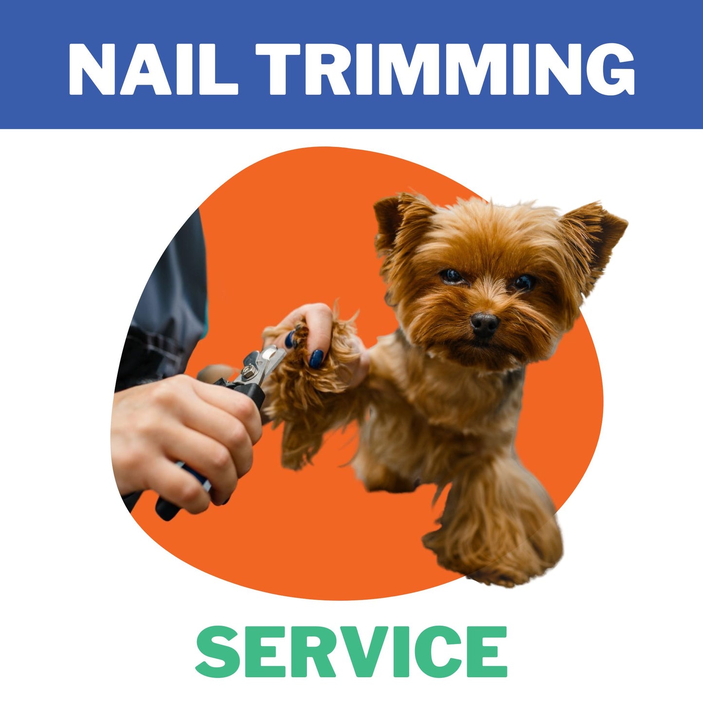 Dog Nail Trimming