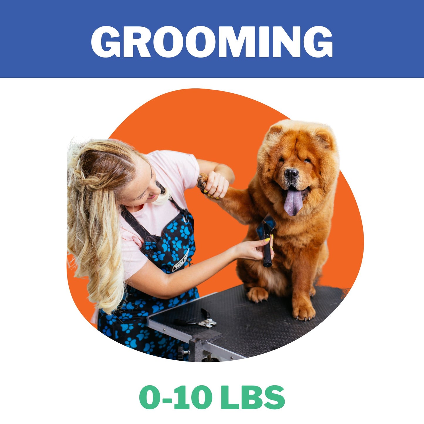 Pet Grooming