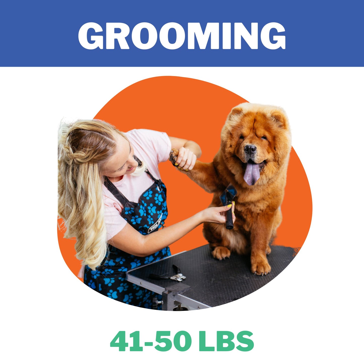 Pet Grooming