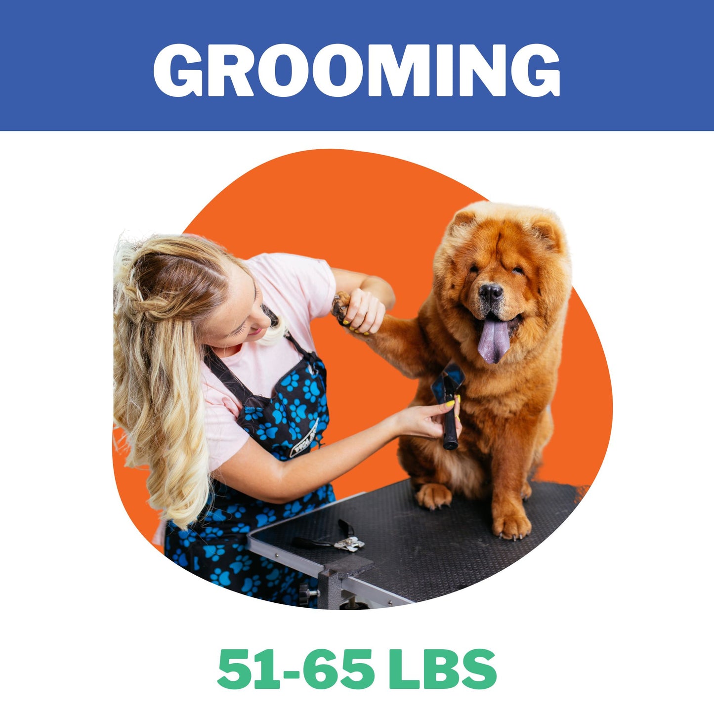 Best Pet Groomer