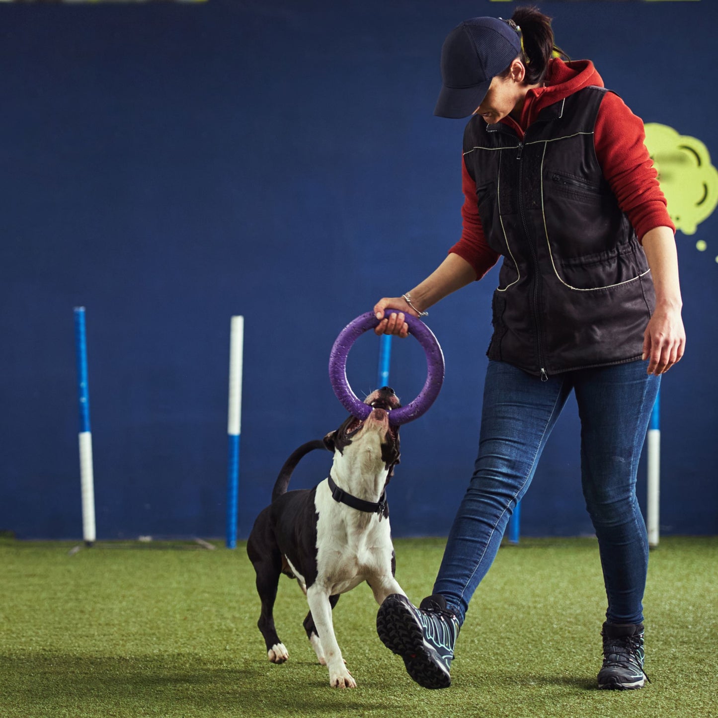 Doggy Day Care