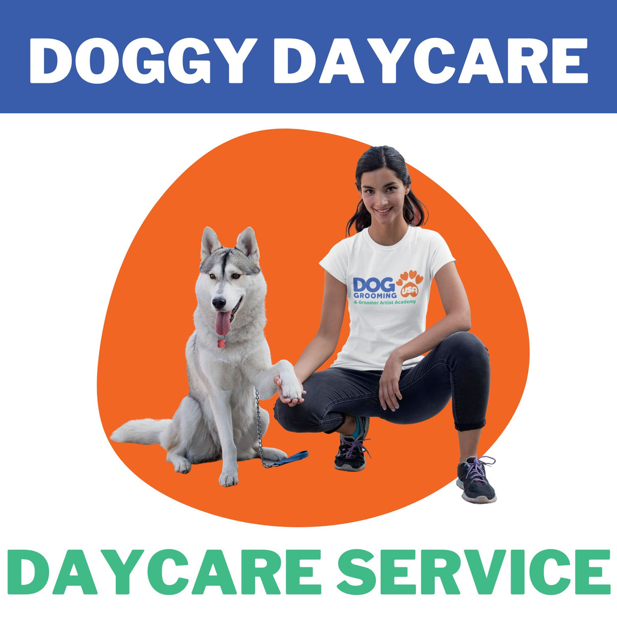 Dog Grooming USA | Dog Day Care | Servicing Hialeah Florida – Dog